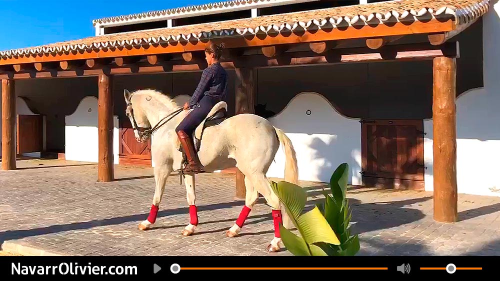 Video destreza hípica por Léa Vicens